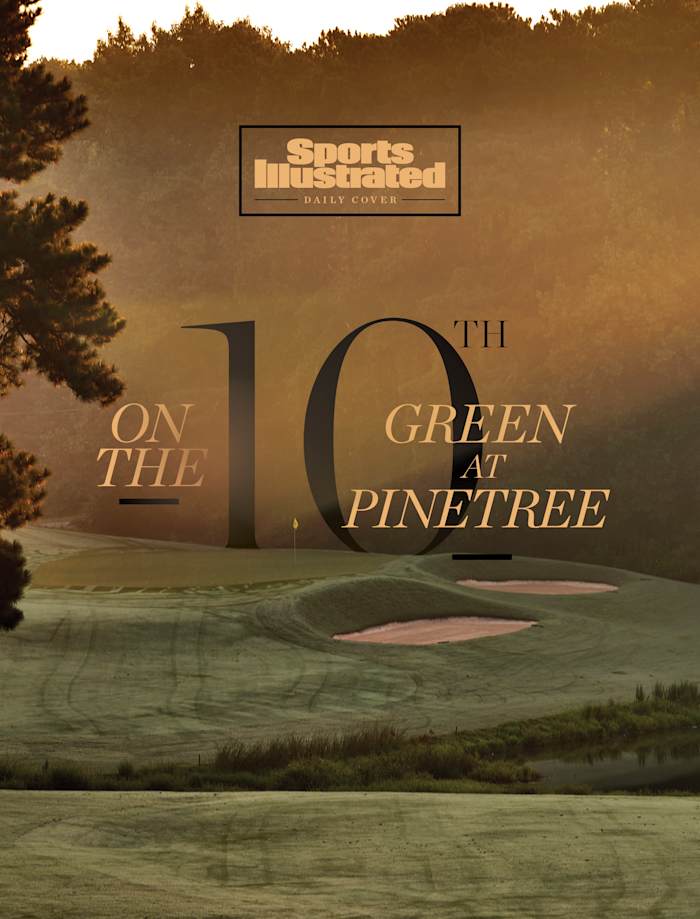 dCOVpinetree_V_Text_Logo